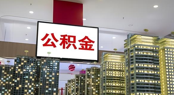 五指山离职提公积金（离职 提公积金）